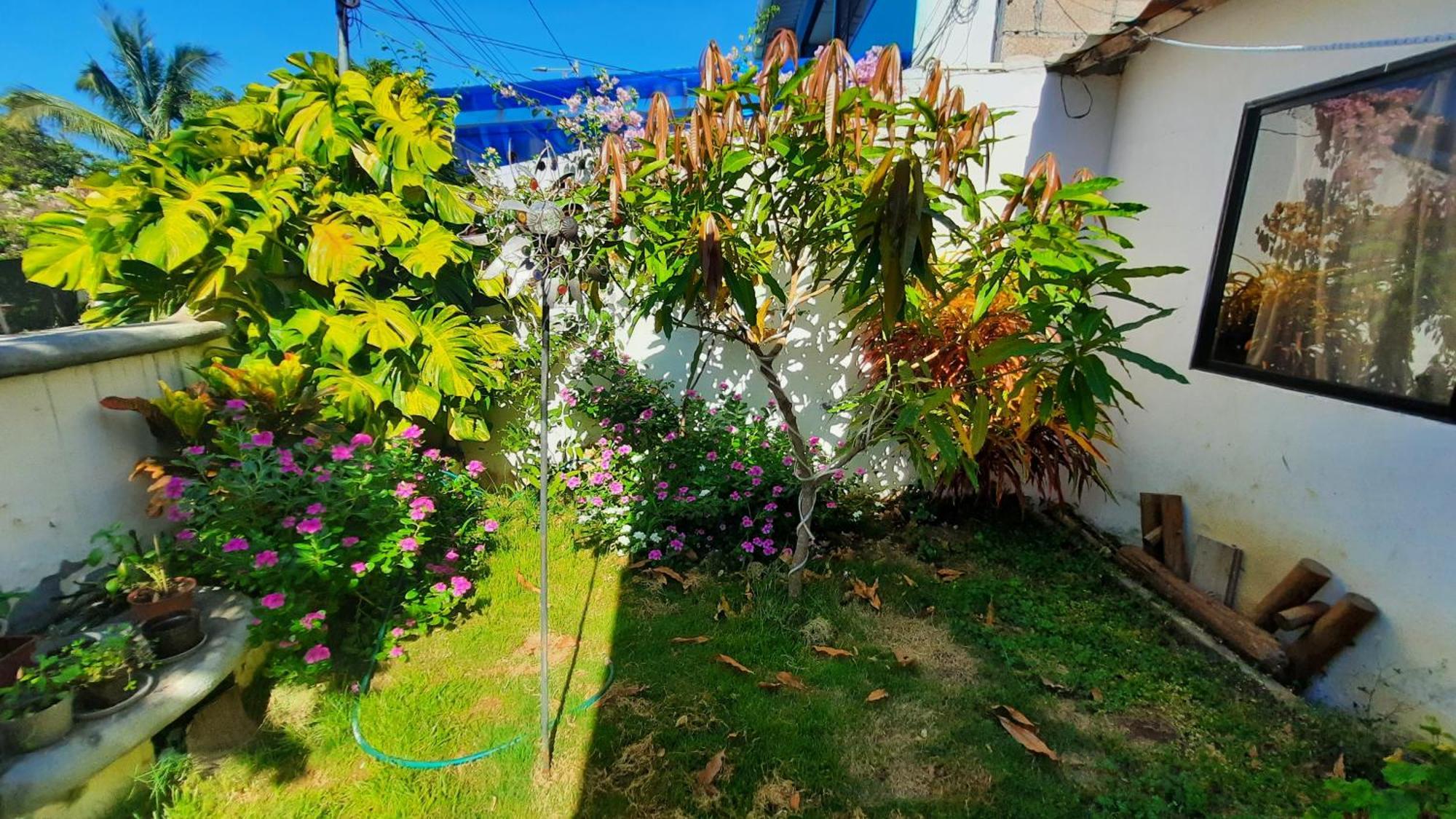 Appartement Alma De Cedrela à Puerto Ayora  Extérieur photo