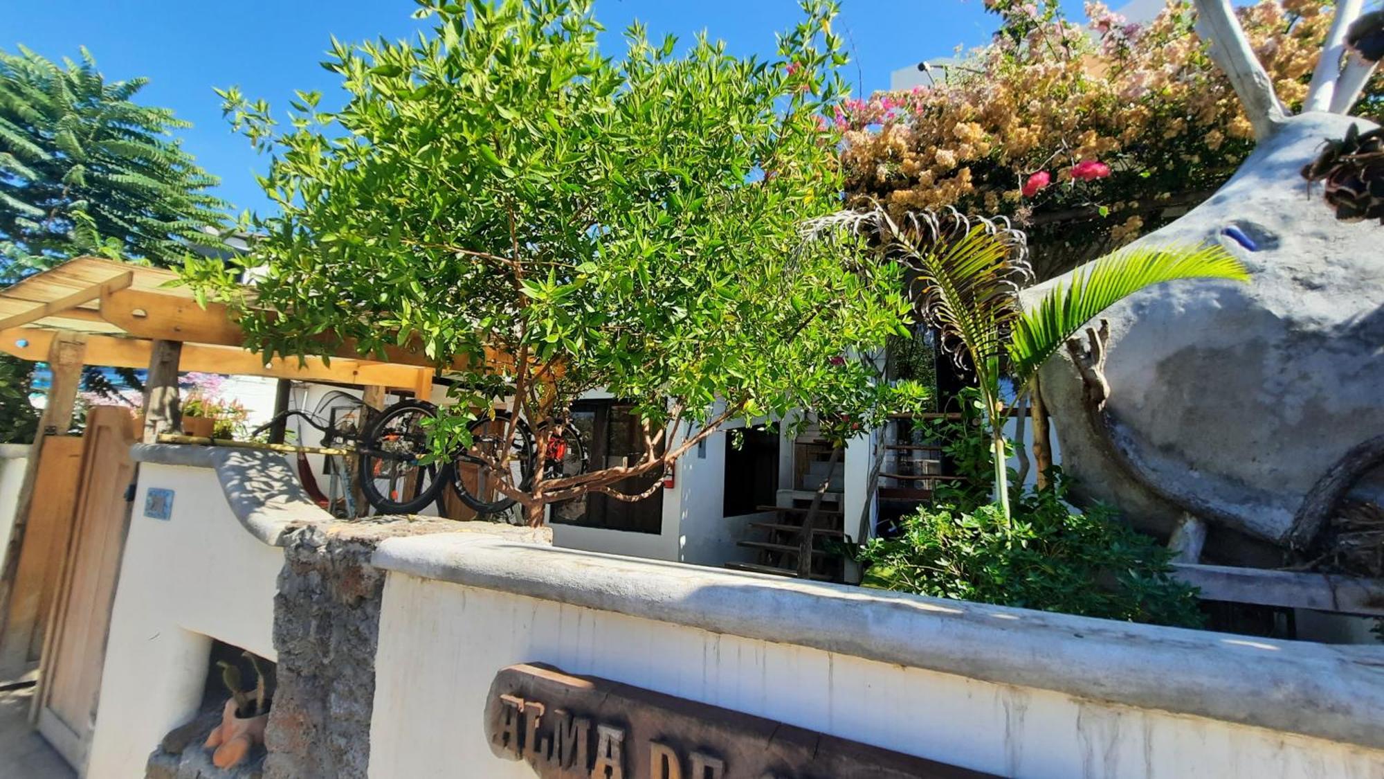 Appartement Alma De Cedrela à Puerto Ayora  Extérieur photo