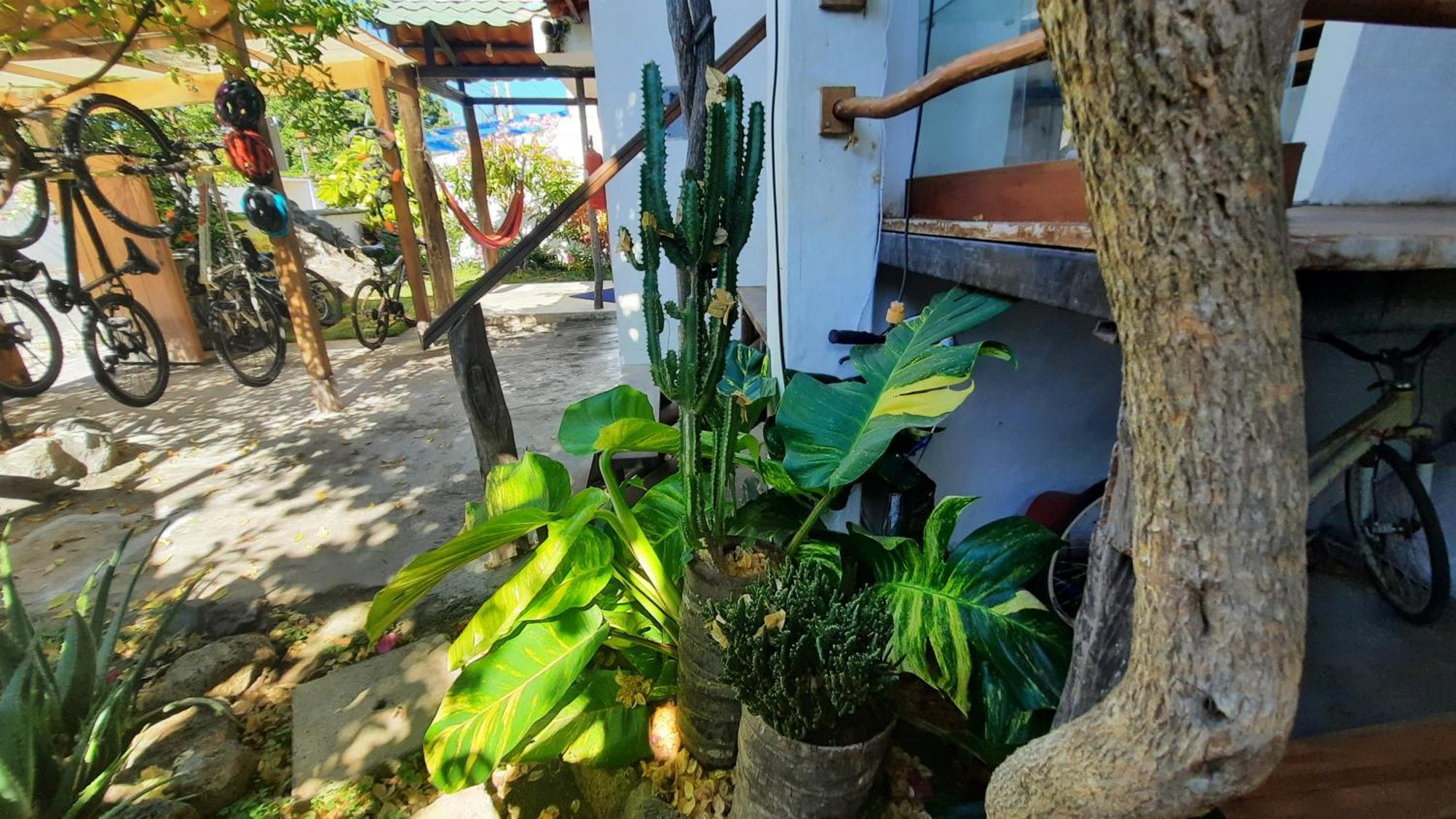 Appartement Alma De Cedrela à Puerto Ayora  Extérieur photo