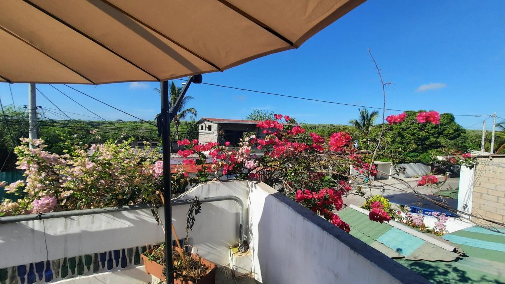 Appartement Alma De Cedrela à Puerto Ayora  Extérieur photo
